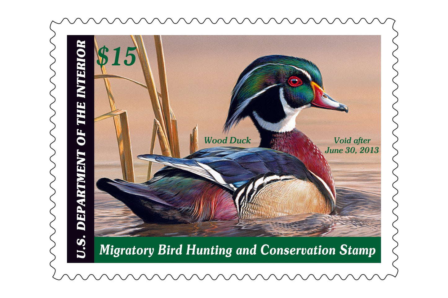Duck Stamp Hat Wood Duck '12-'13 - MossyOak ShadowGrass Rope
