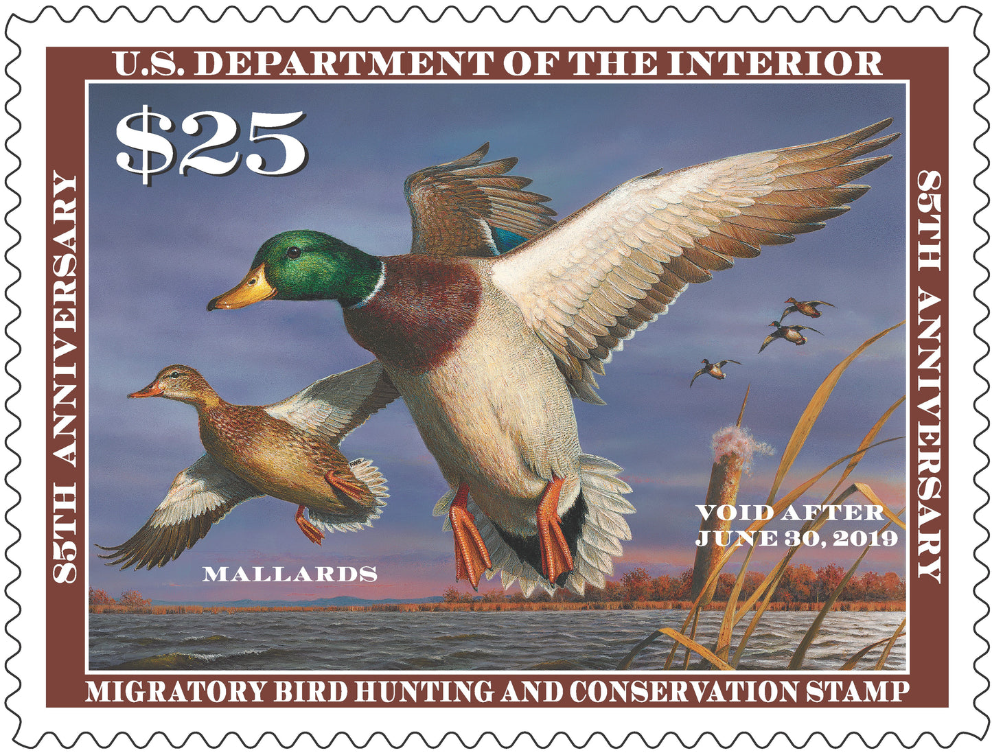 Duck Stamp Hat Mallards '18-'19 - Tobacco Rope