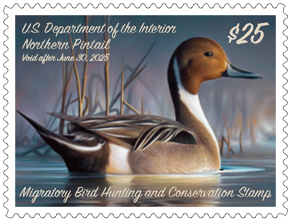 Duck Stamp Hat Northern Pintail '24-'25 - Mossy Oak Shadowgrass Rope