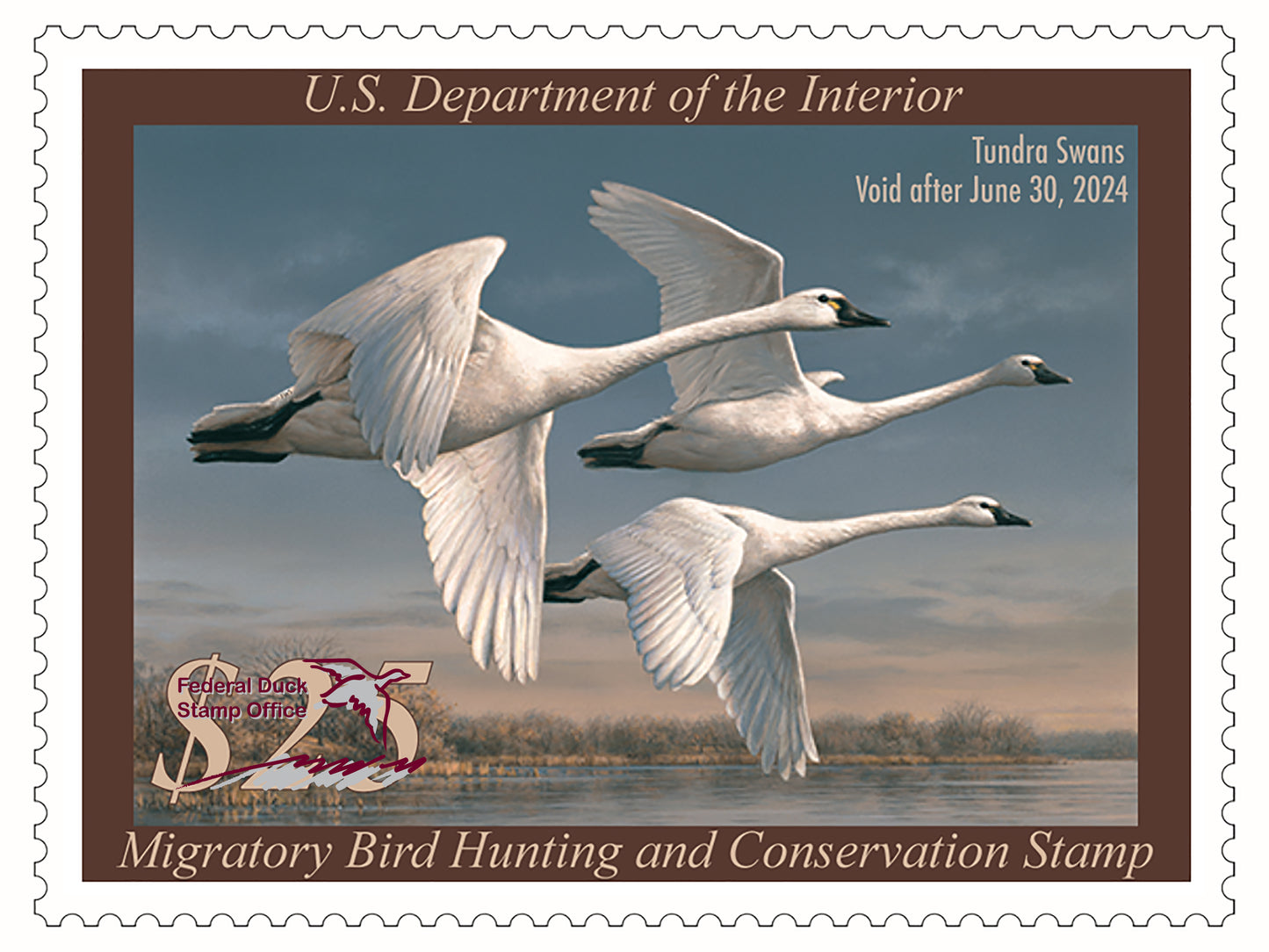Duck Stamp Hat Tundra Swans 2023-2024