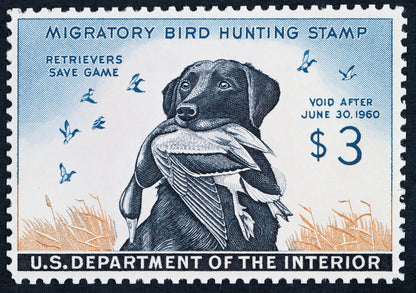 Duck Stamp Rocks Glasses