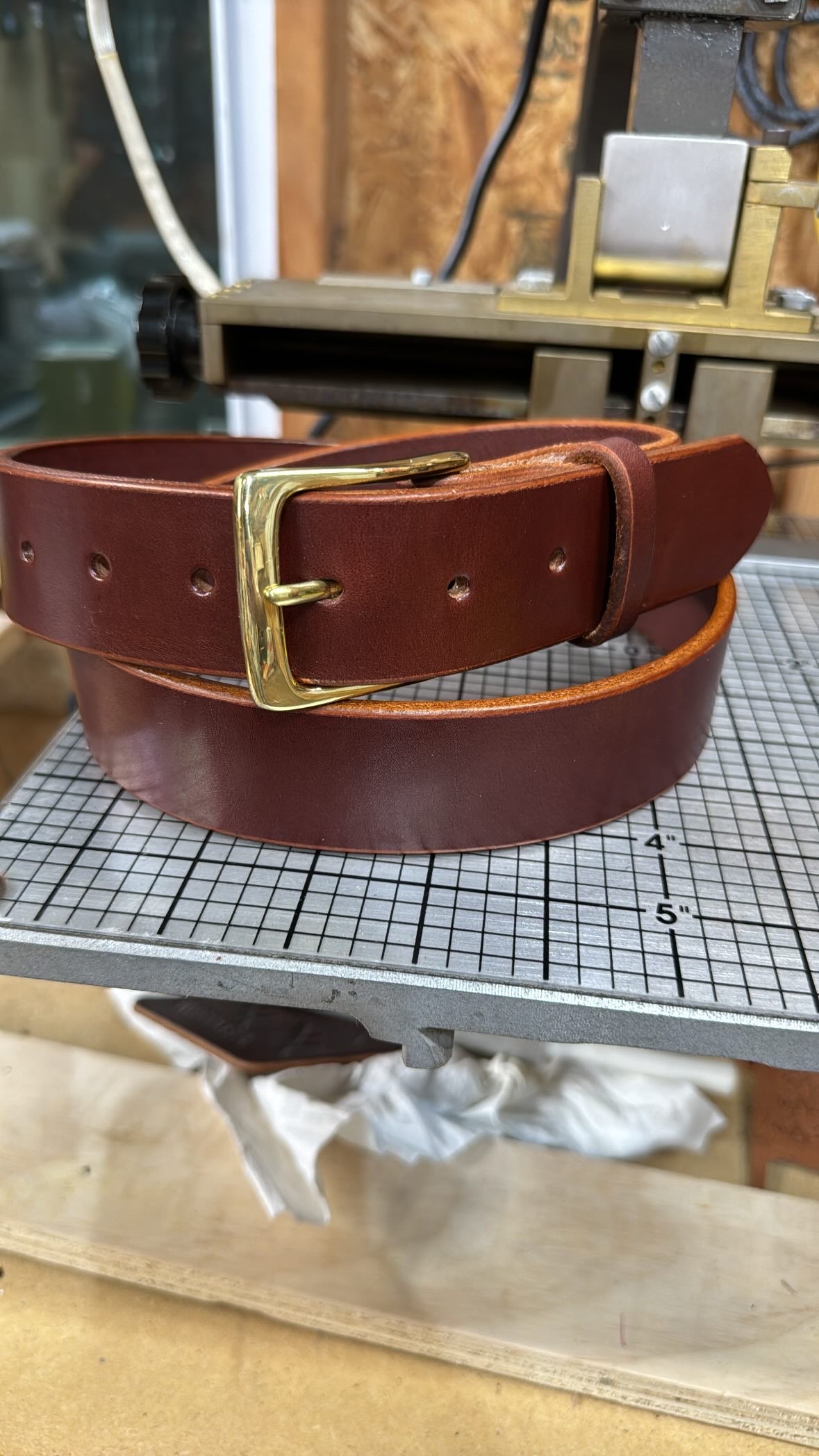 Bridle Belt