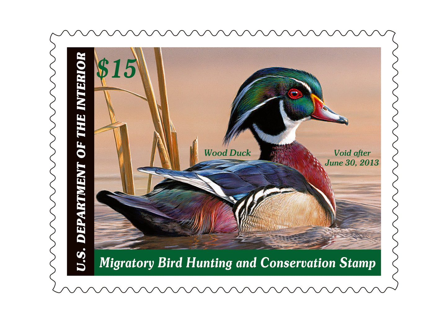 Duck Stamp Rocks Glasses