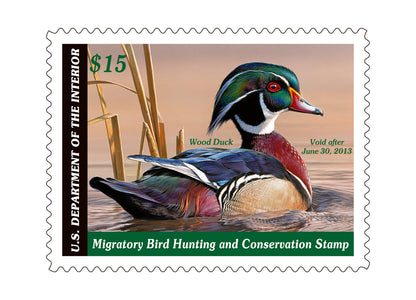 Duck Stamp Rocks Glasses