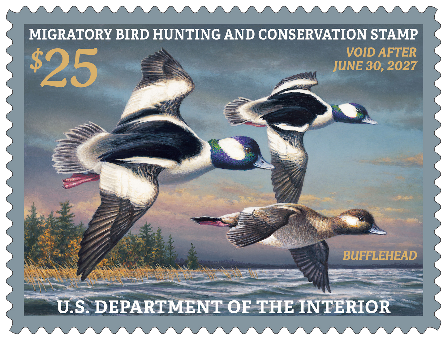 Federal Duck Stamp Buffleheads 26'-27’