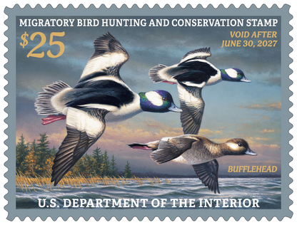 Federal Duck Stamp Buffleheads 26'-27’