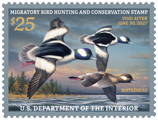 Federal Duck Stamp Buffleheads 26'-27’