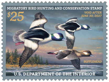 Duck Stamp Rocks Glasses