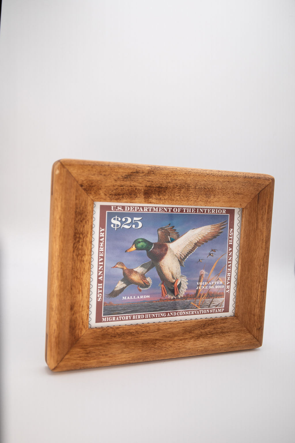 Duck Stamp Prints