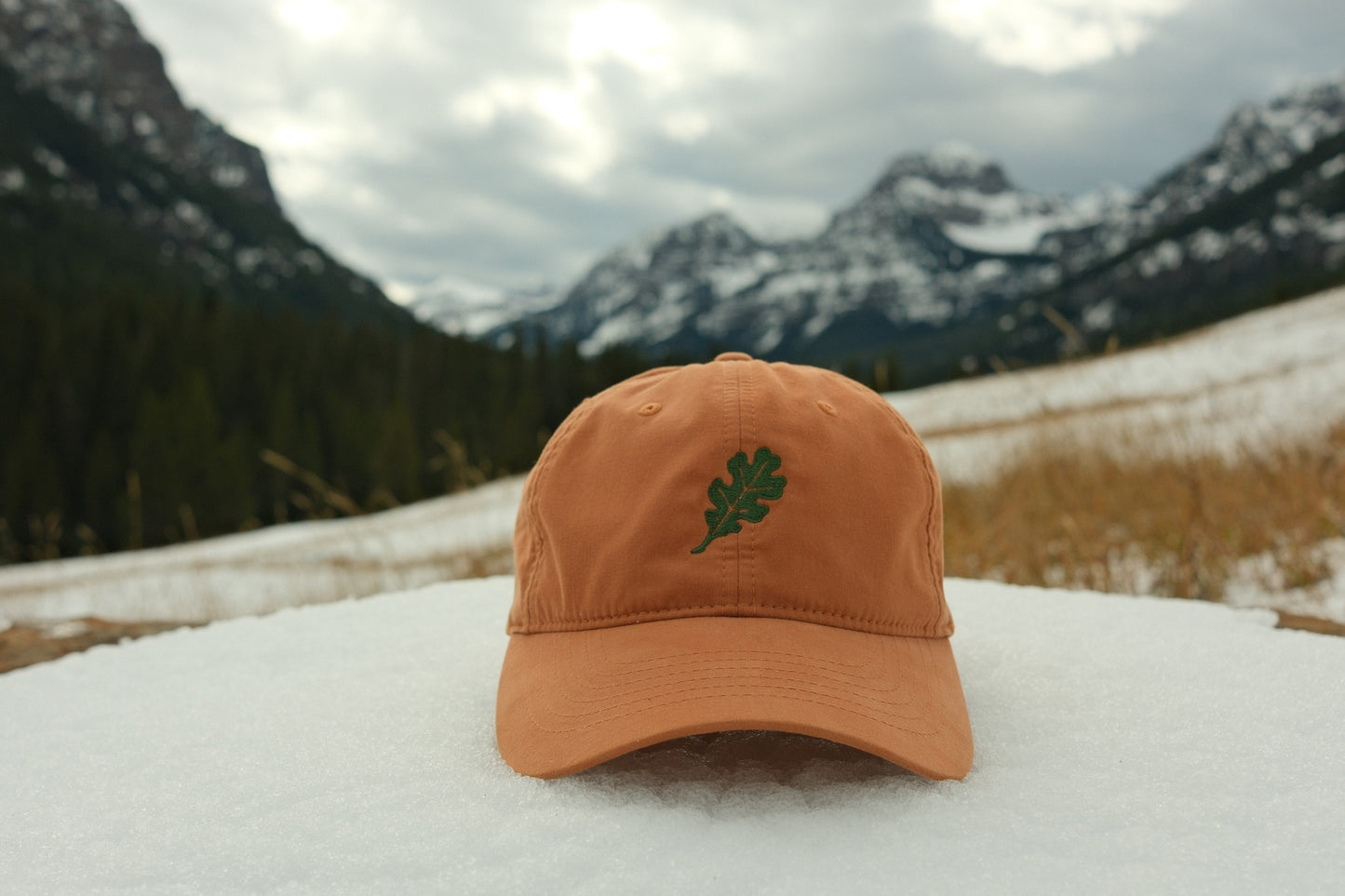 Woodley Co Logo Hat - Orange Brushed Cotton