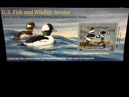 Federal Duck Stamp Buffleheads 26'-27’