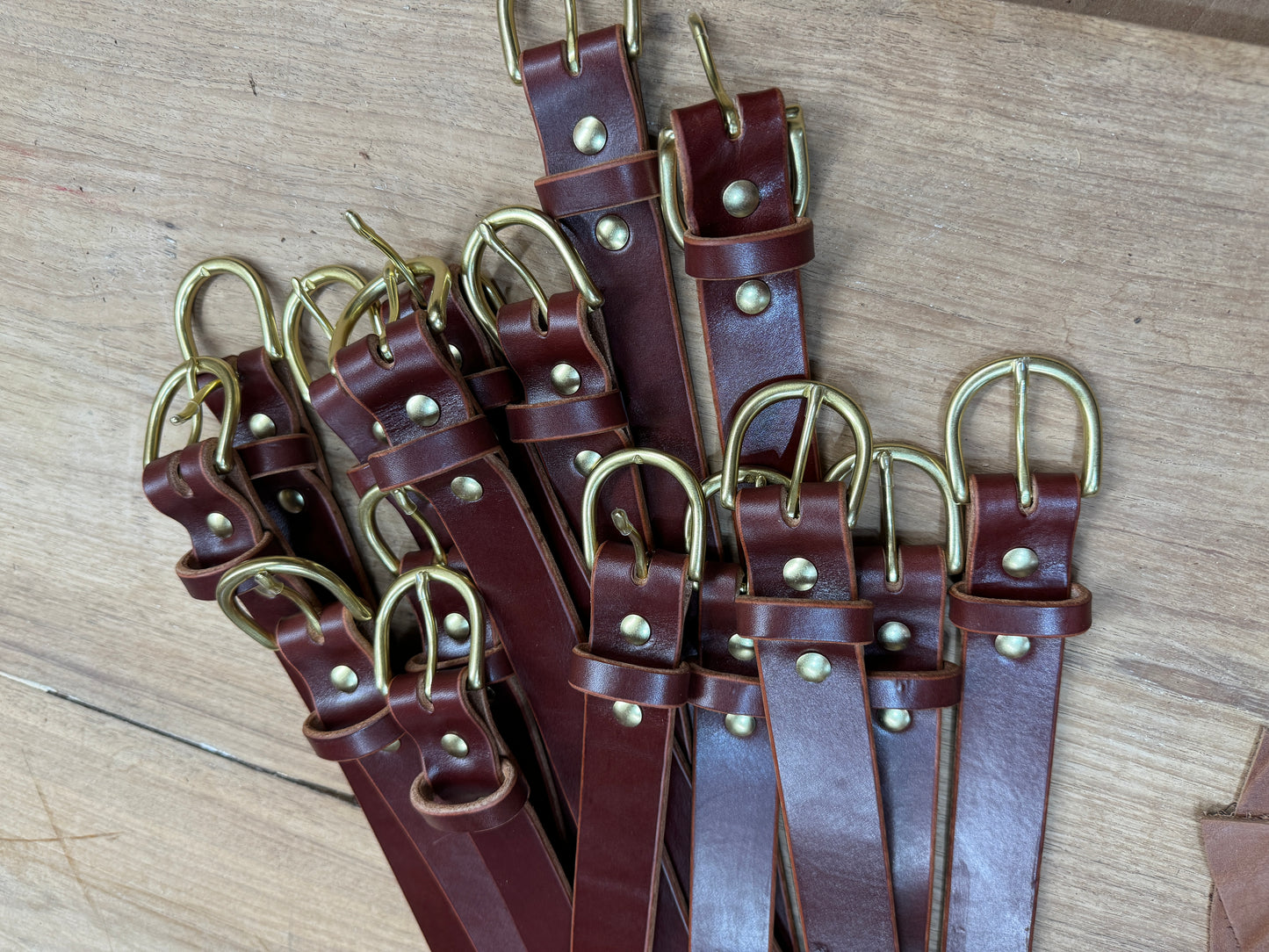 Bridle Belt