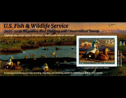 Federal Duck Stamp Spectacled Eider 25’-26’