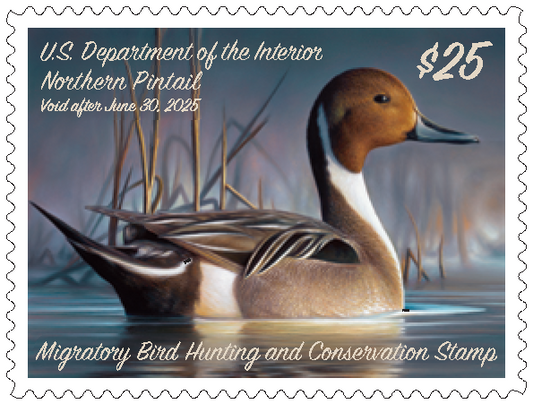 Federal Duck Stamp Northern Pintail 24’-25’