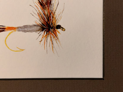 Framed Fly Trio
