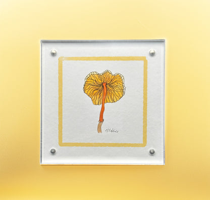 Mushroom Square Prints